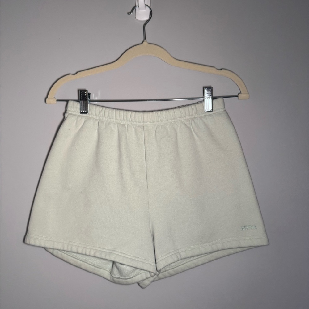 Aritzia Athletic Shorts